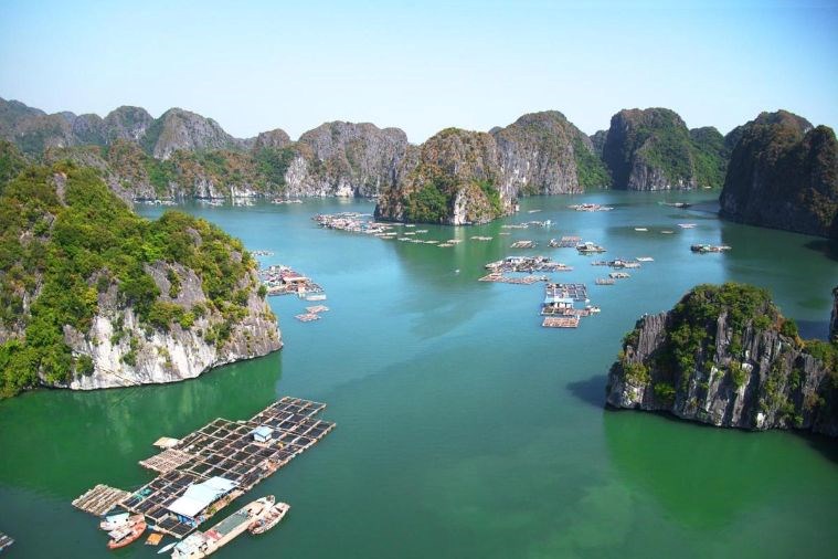 Indochine Cruise Lanha Bay